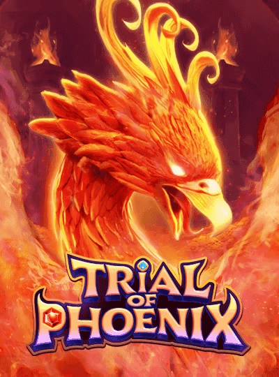 3y77 new game